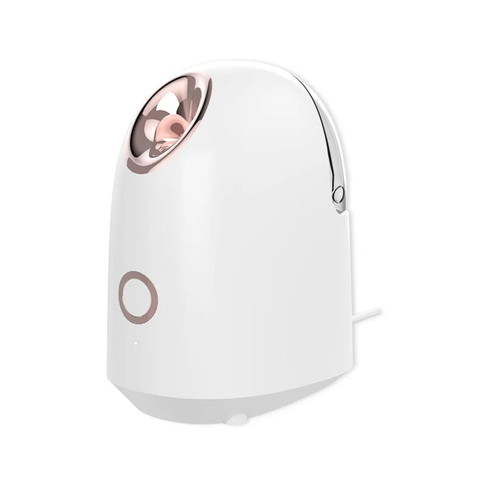 Appareil de beauté professionnel de haute qualité pour la maison, vaporisateur de brume pour le visage, humidificateur, mini vaporisateur portable pour le visage 