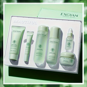 Centella Asiatica Skincare Set: 6-Piece Kit with Hyaluronic Acid & Gotu Kola