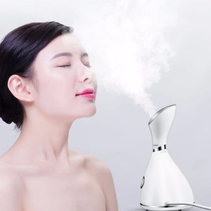 Household Facial Steamer - Vapozone Nano Ionic Warm Steam for Deep Moisture and Face Care